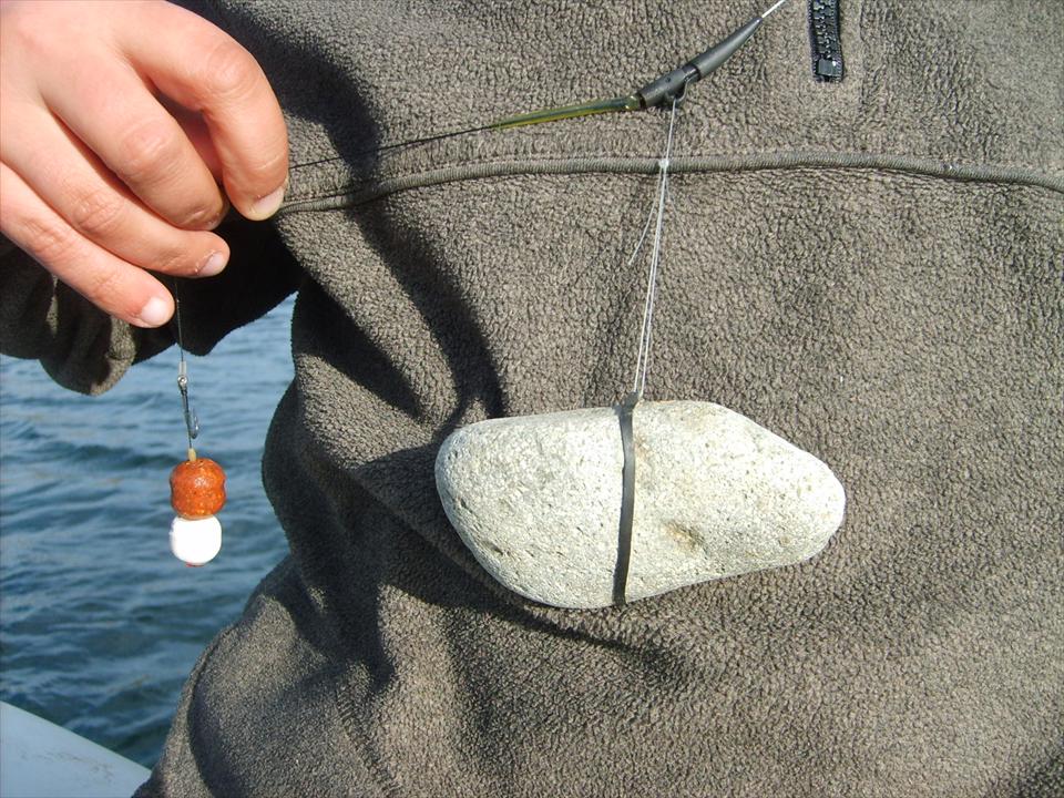 Ponturi de balastiera